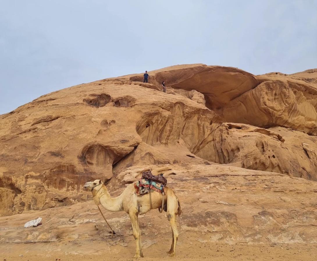 Wadi Rum Hugo Camp Exterior foto