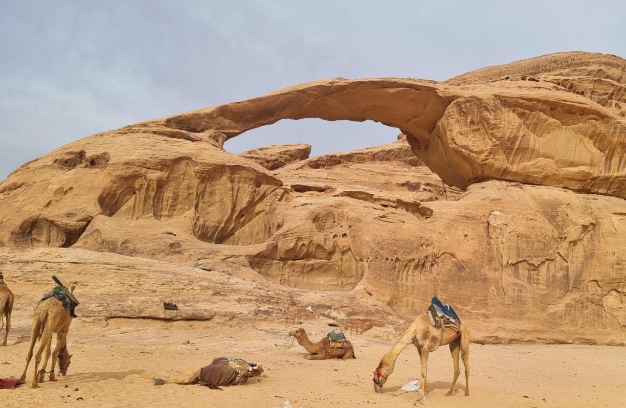 Wadi Rum Hugo Camp Exterior foto